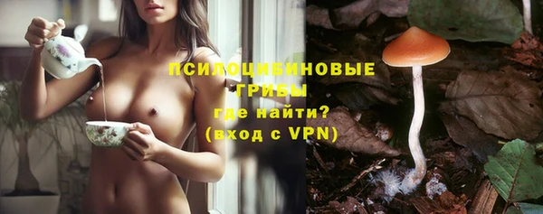 прущая мука Армянск