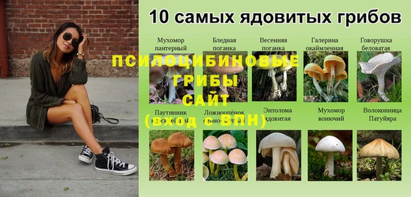 прущая мука Армянск